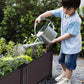 GardenGlory | Brengt leven in je tuin!